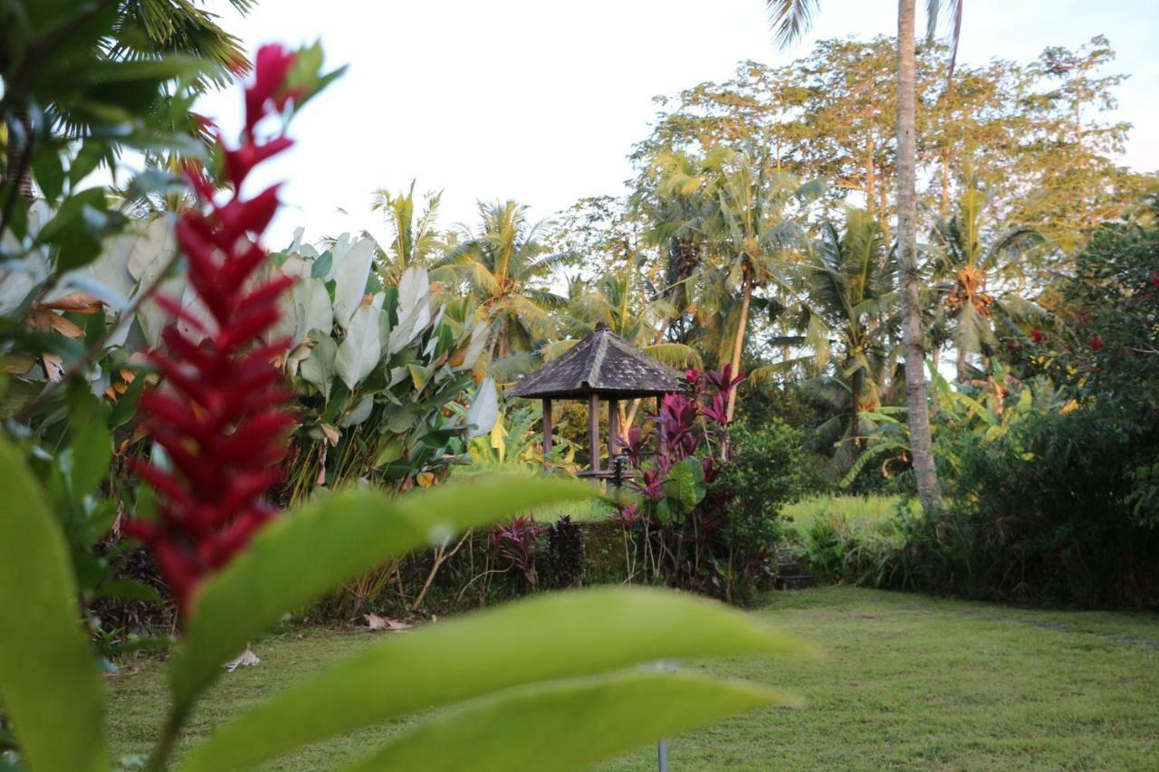 The Alise Villa Tegallalang  Luaran gambar