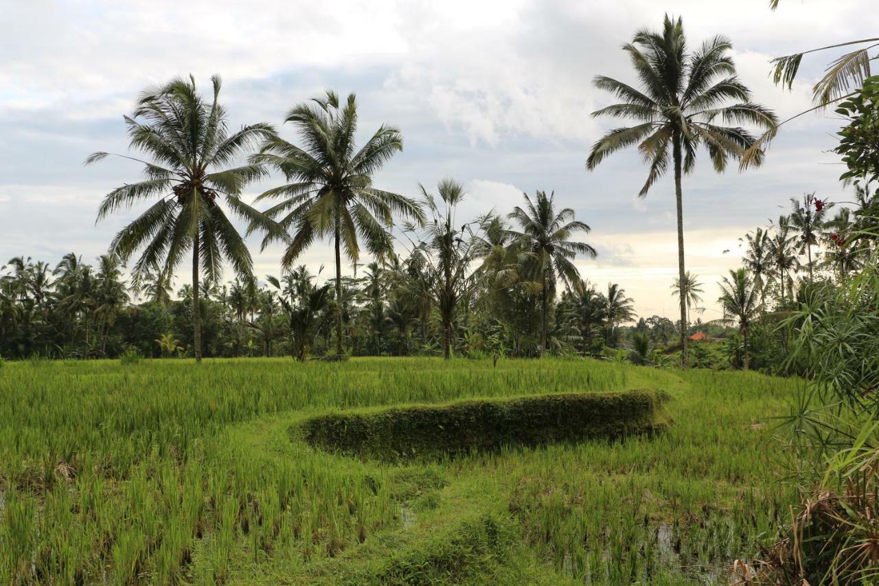 The Alise Villa Tegallalang  Luaran gambar