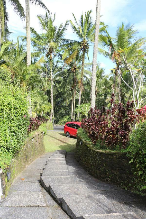 The Alise Villa Tegallalang  Luaran gambar