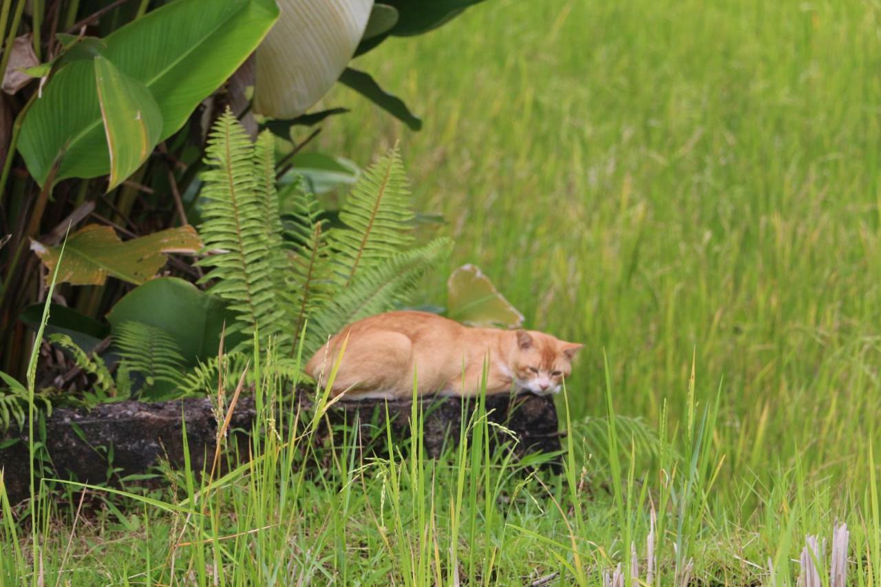 The Alise Villa Tegallalang  Luaran gambar