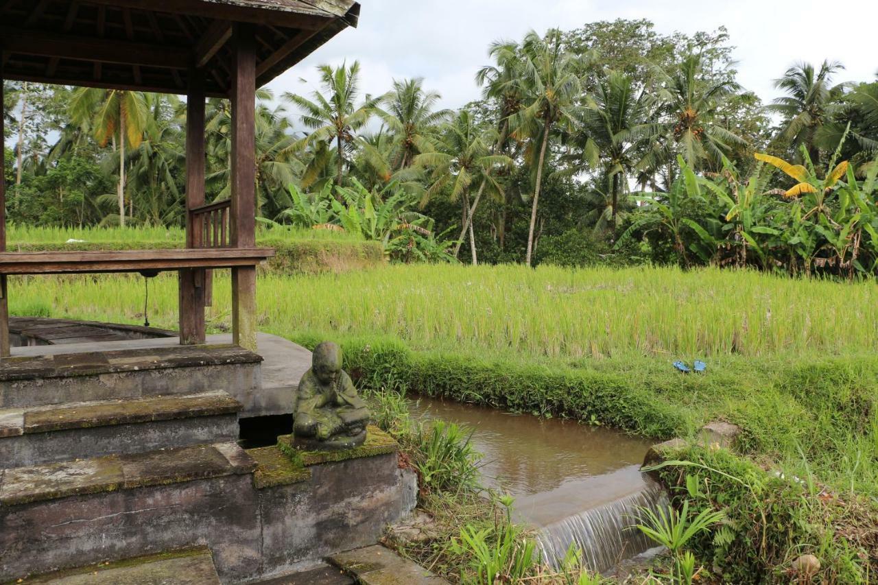 The Alise Villa Tegallalang  Luaran gambar