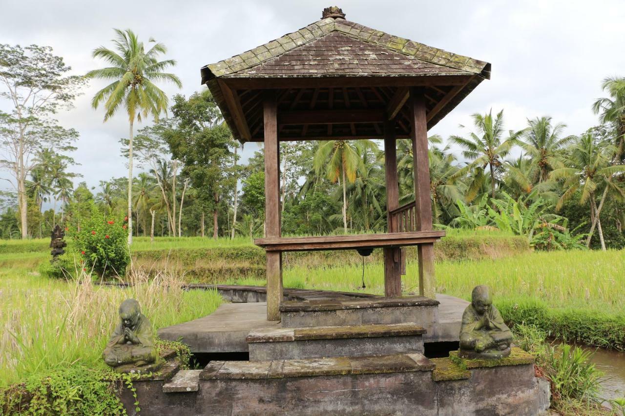 The Alise Villa Tegallalang  Luaran gambar