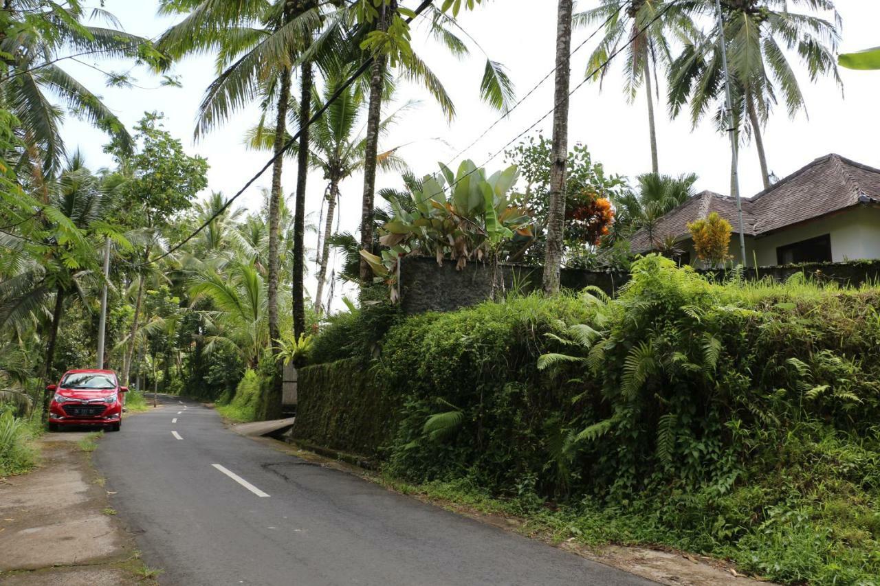 The Alise Villa Tegallalang  Luaran gambar