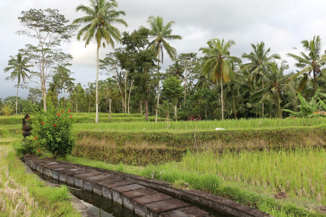 The Alise Villa Tegallalang  Luaran gambar