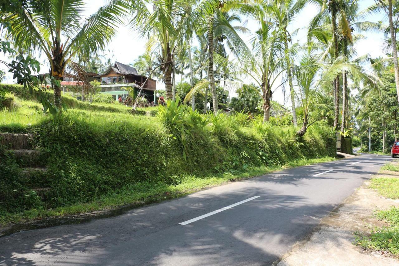 The Alise Villa Tegallalang  Luaran gambar