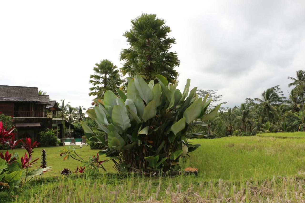 The Alise Villa Tegallalang  Luaran gambar