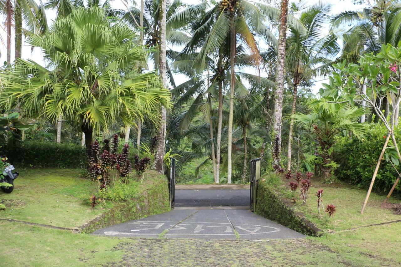 The Alise Villa Tegallalang  Luaran gambar