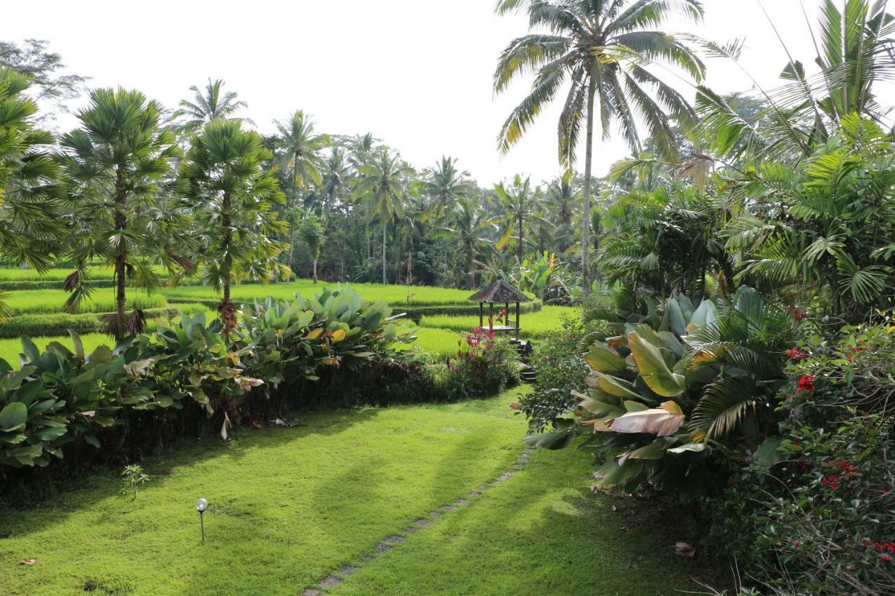 The Alise Villa Tegallalang  Luaran gambar