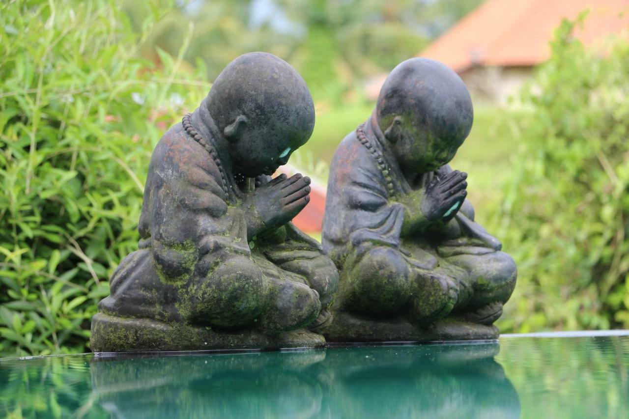 The Alise Villa Tegallalang  Luaran gambar